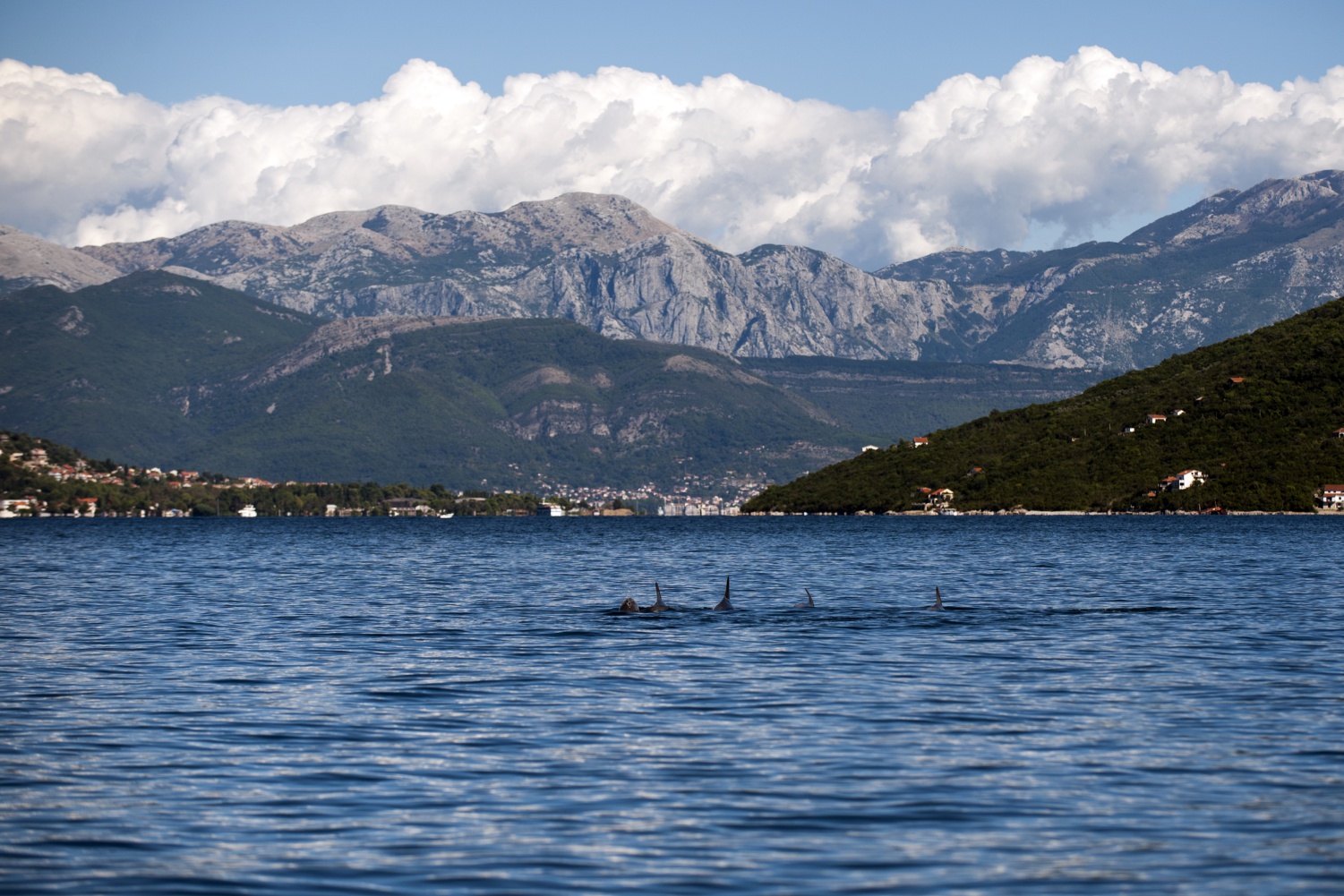 FOOD PARTNERS PATAGONIA, AN ADVENTURE IN THE AUSTRAL OCEAN